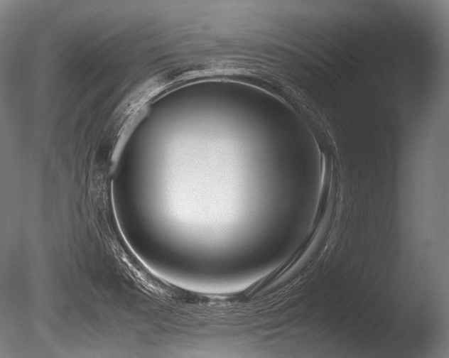 X0000086011177200703231204