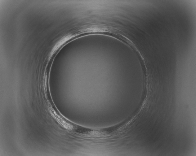X0000086011179200703231204