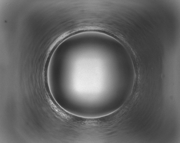 X0000086011181200703231204