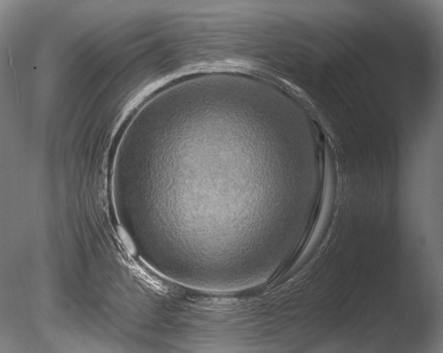 X0000086011184200703231204
