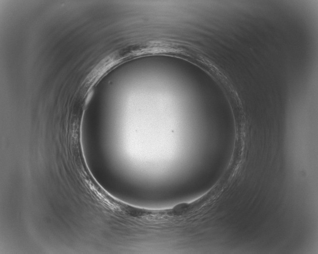 X0000086011185200703231204