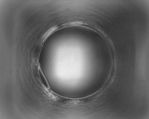 X0000086011193200703231204
