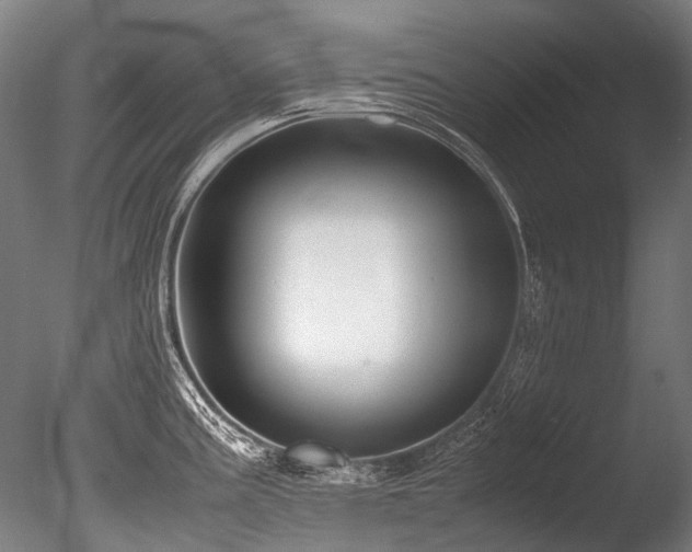 X0000086011195200703231203