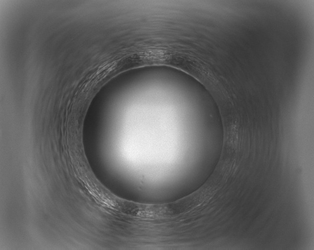 X0000086011201200703231203