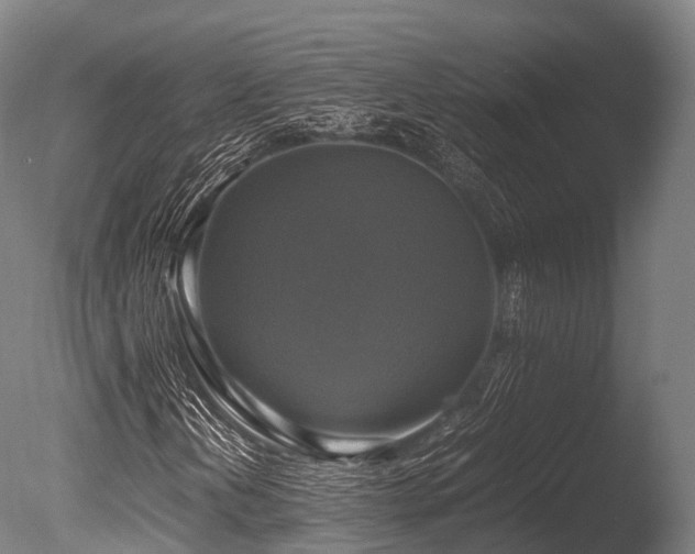 X0000086011202200703231203
