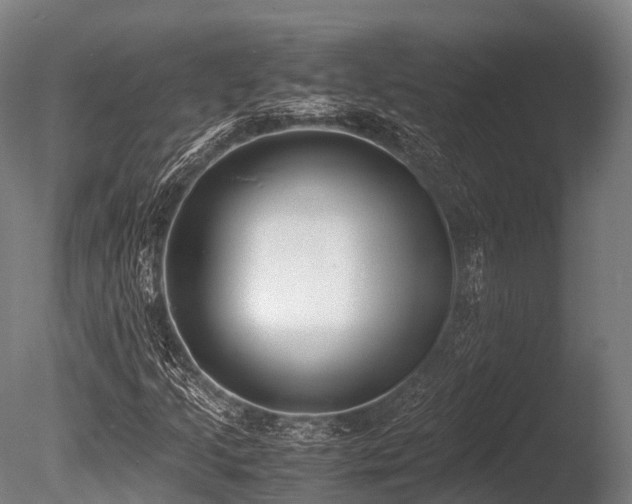 X0000086011205200703231203