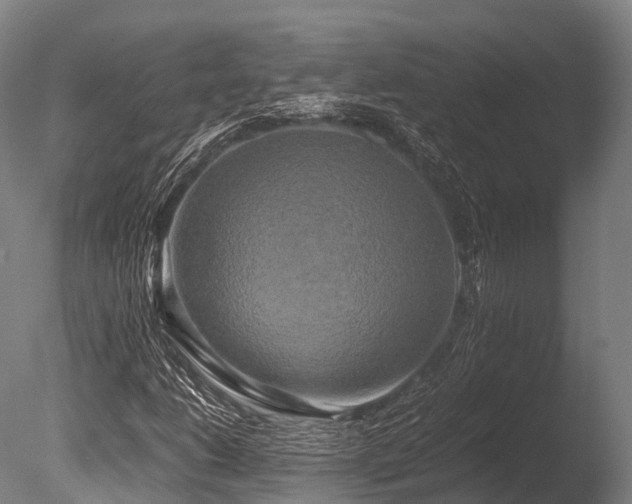 X0000086011206200703231203