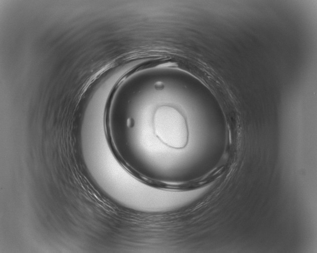 X0000086011210200703231203