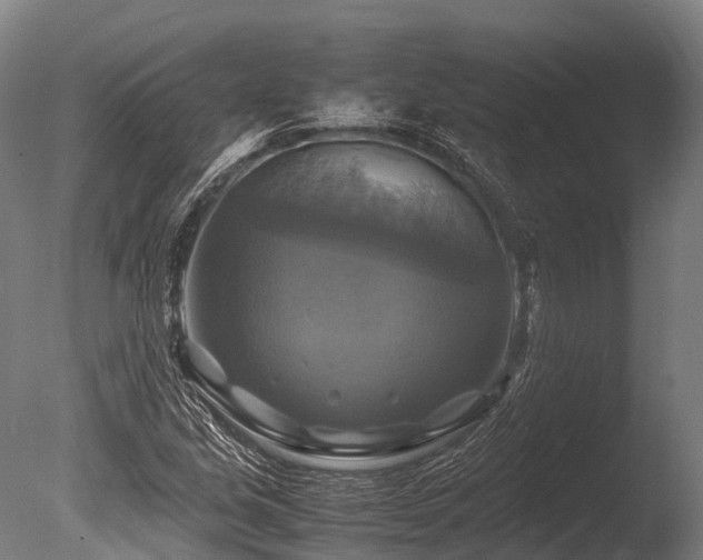 X0000086011213200703231203