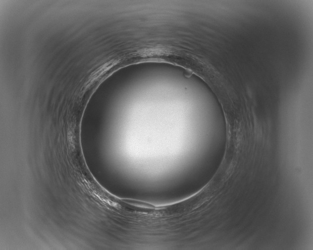 X0000086011217200703231203