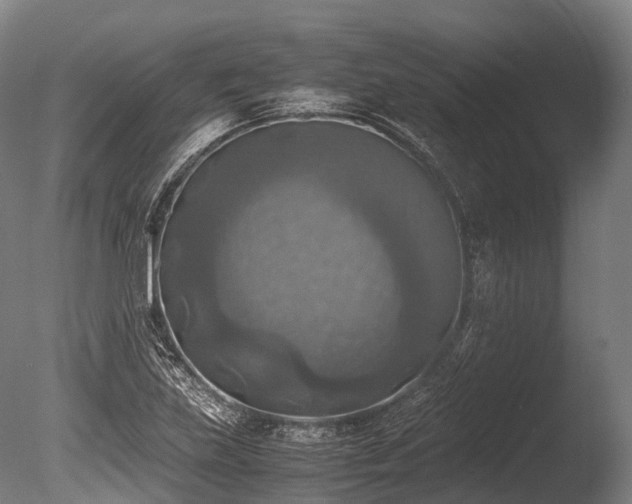 X0000086011219200703231203
