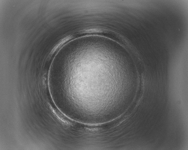 X0000086011225200703231203
