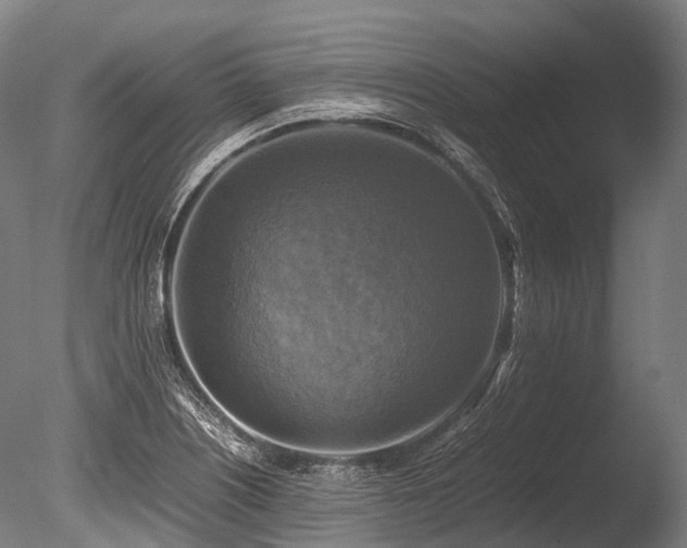 X0000086011226200703231203
