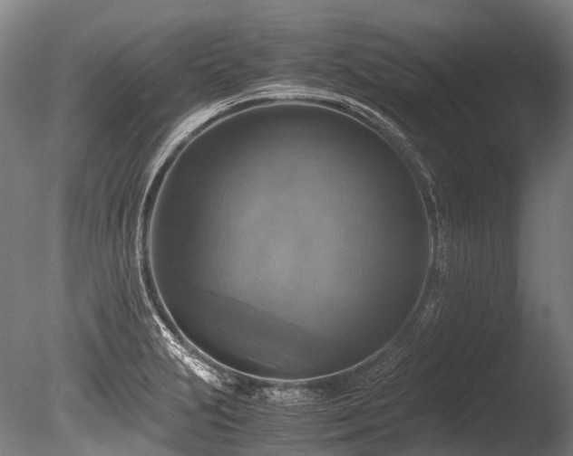 X0000086011231200703231203
