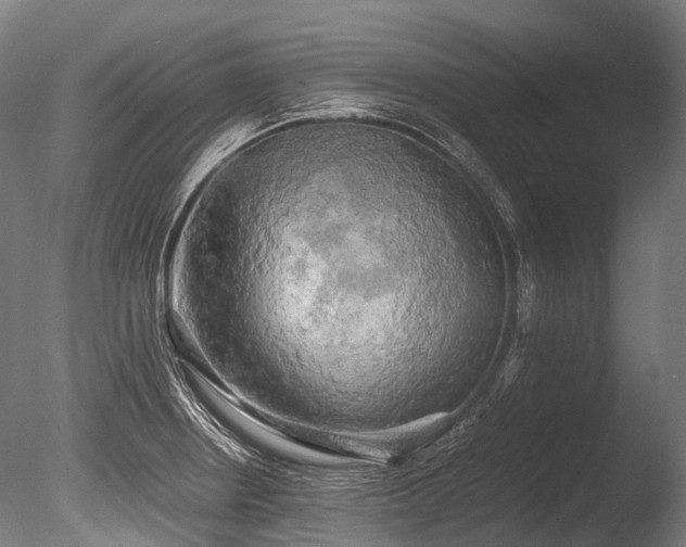 X0000086011234200703231203