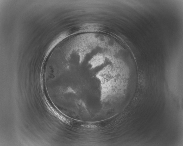 X0000086011235200703231203