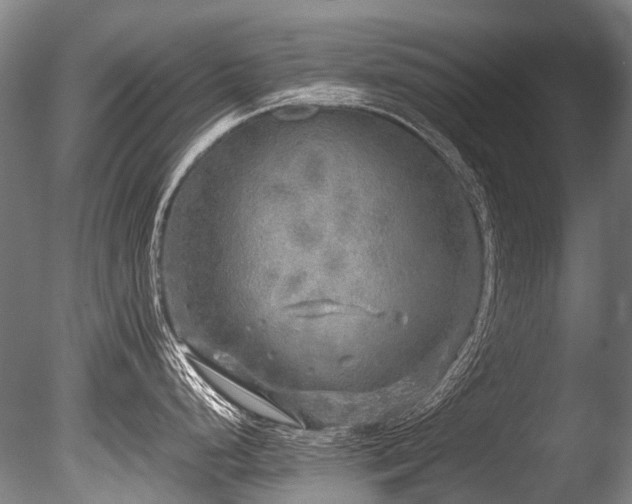X0000086011248200703231203