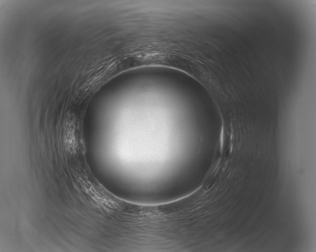 X0000086011250200703231203