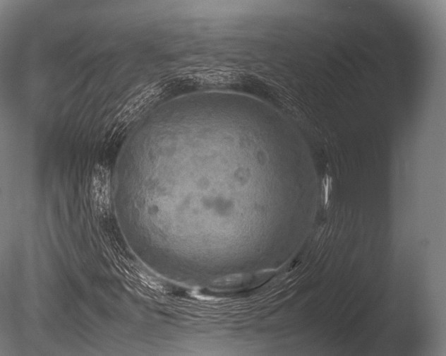 X0000086011251200703231202