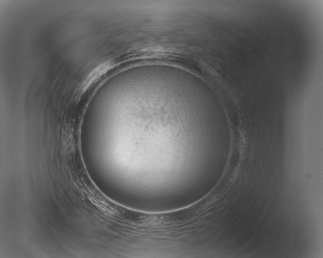 X0000086011259200703231202