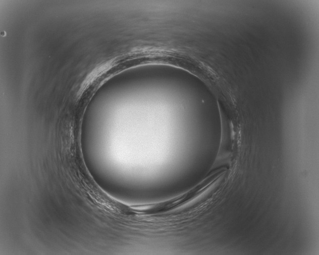 X0000086011261200703231202