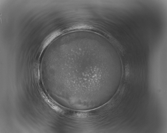 X0000086011274200703231202