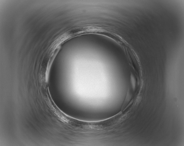 X0000086011281200703231202