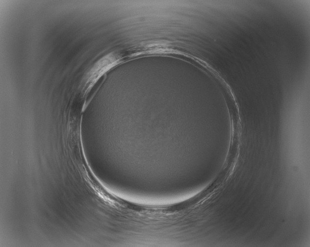 X0000086011289200703231202