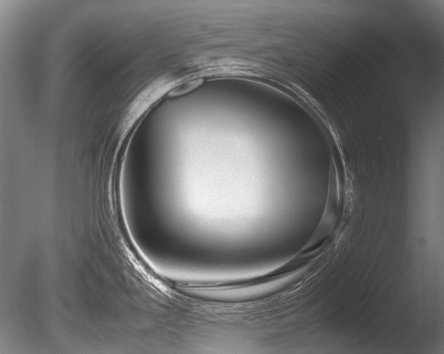 X0000086011293200703231202