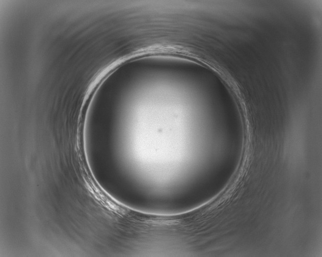 X0000086011296200703231202
