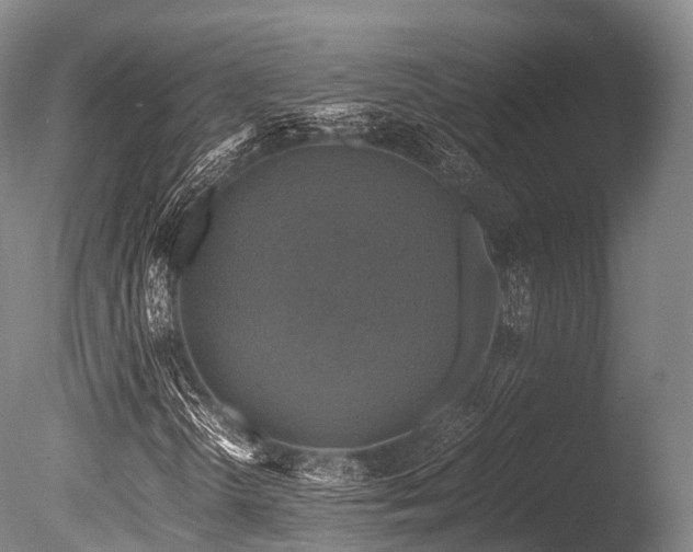 X0000086011298200703231201