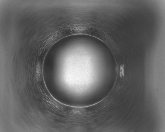 X0000086011299200703231201