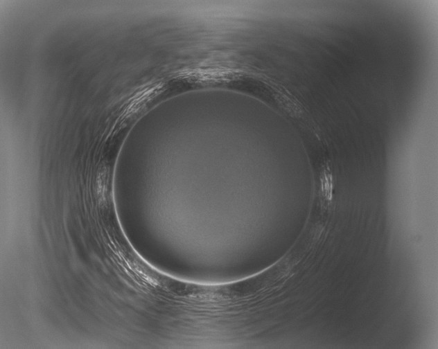 X0000086011300200703231201