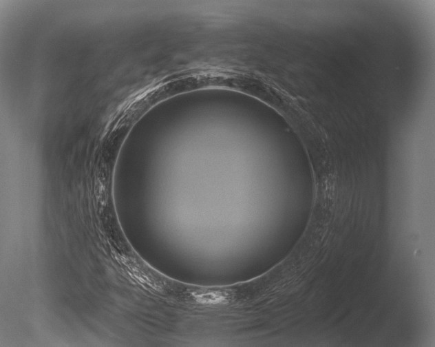 X0000086011303200703231201