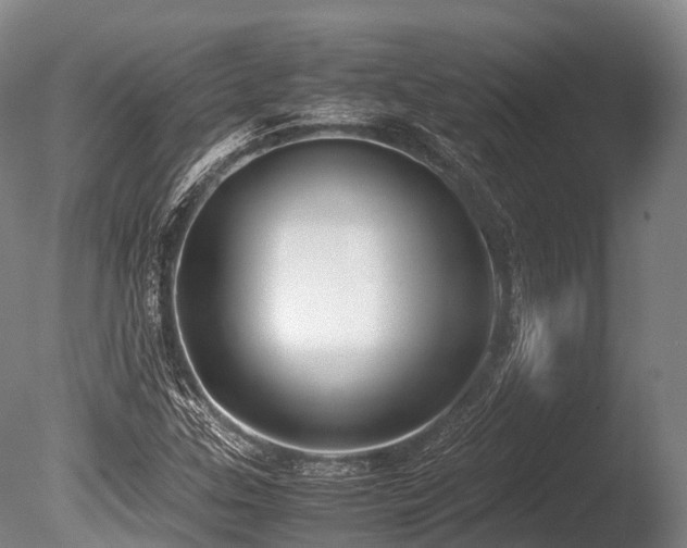 X0000086011307200703231201