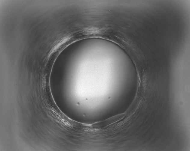 X0000086011309200703231201