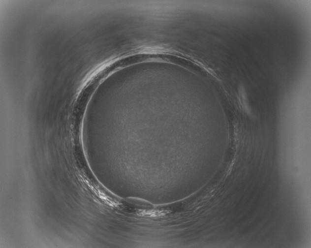 X0000086011311200703231201