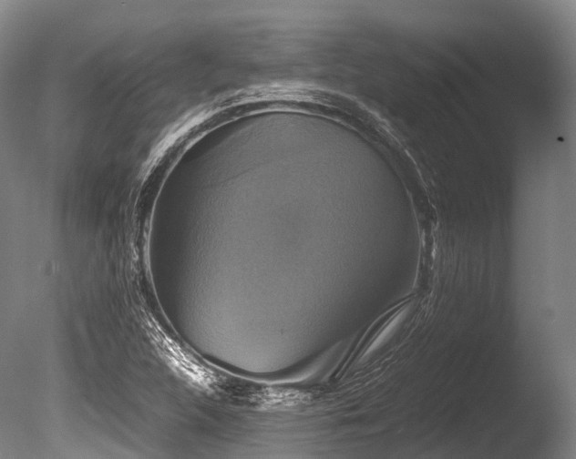 X0000086011312200703231201