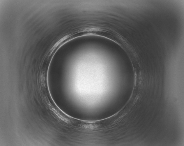 X0000086011321200703231201
