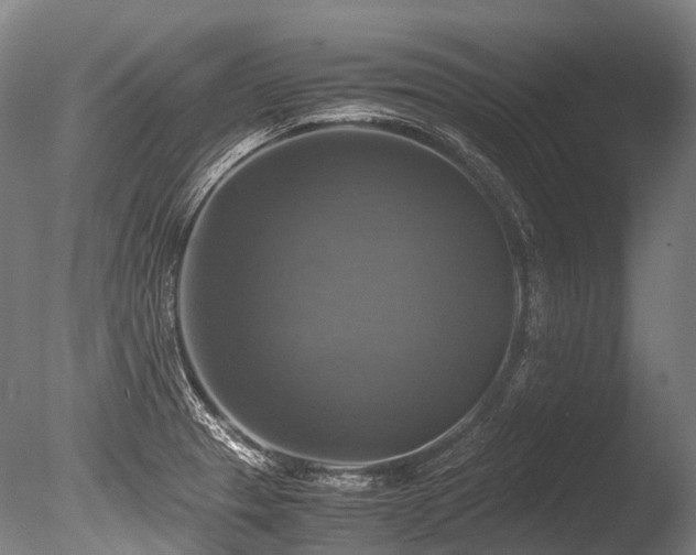 X0000086011329200703231201