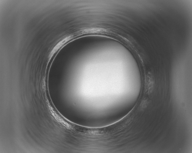 X0000086011330200703231201