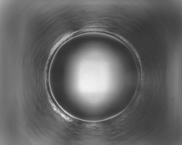 X0000086011341200703231202