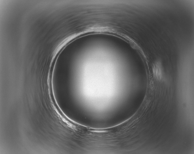 X0000086011343200703231202