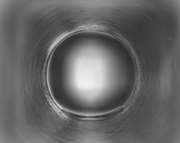 X0000086011344200703231202