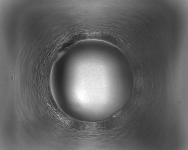 X0000086011345200703231201