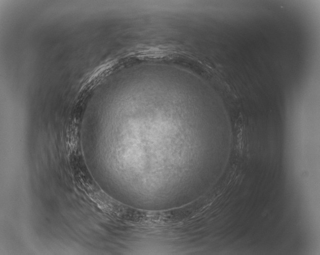 X0000086011350200703231201