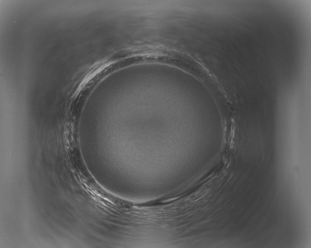 X0000086011352200703231201