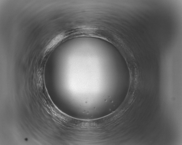 X0000086011354200703231201