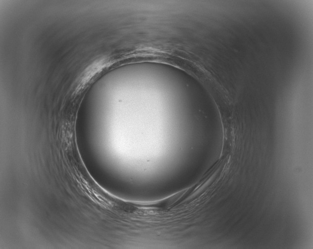 X0000086011355200703231201