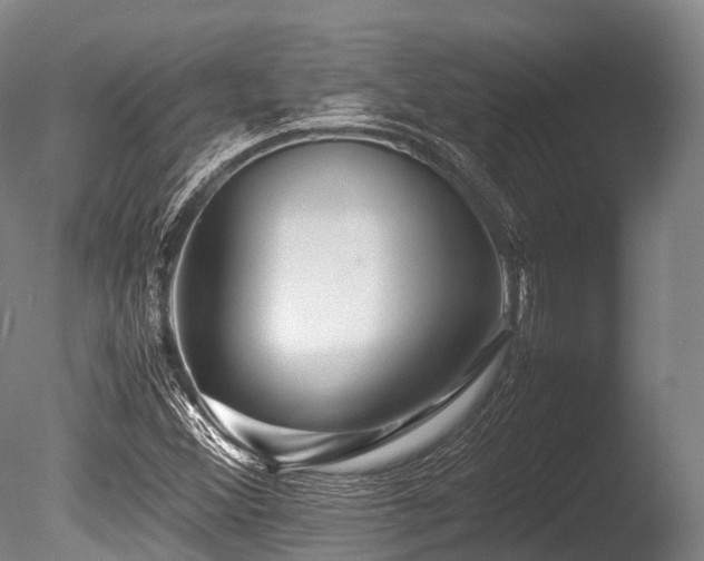 X0000086011356200703231201